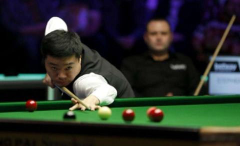 帕尔默杯丁 帕尔默杯丁